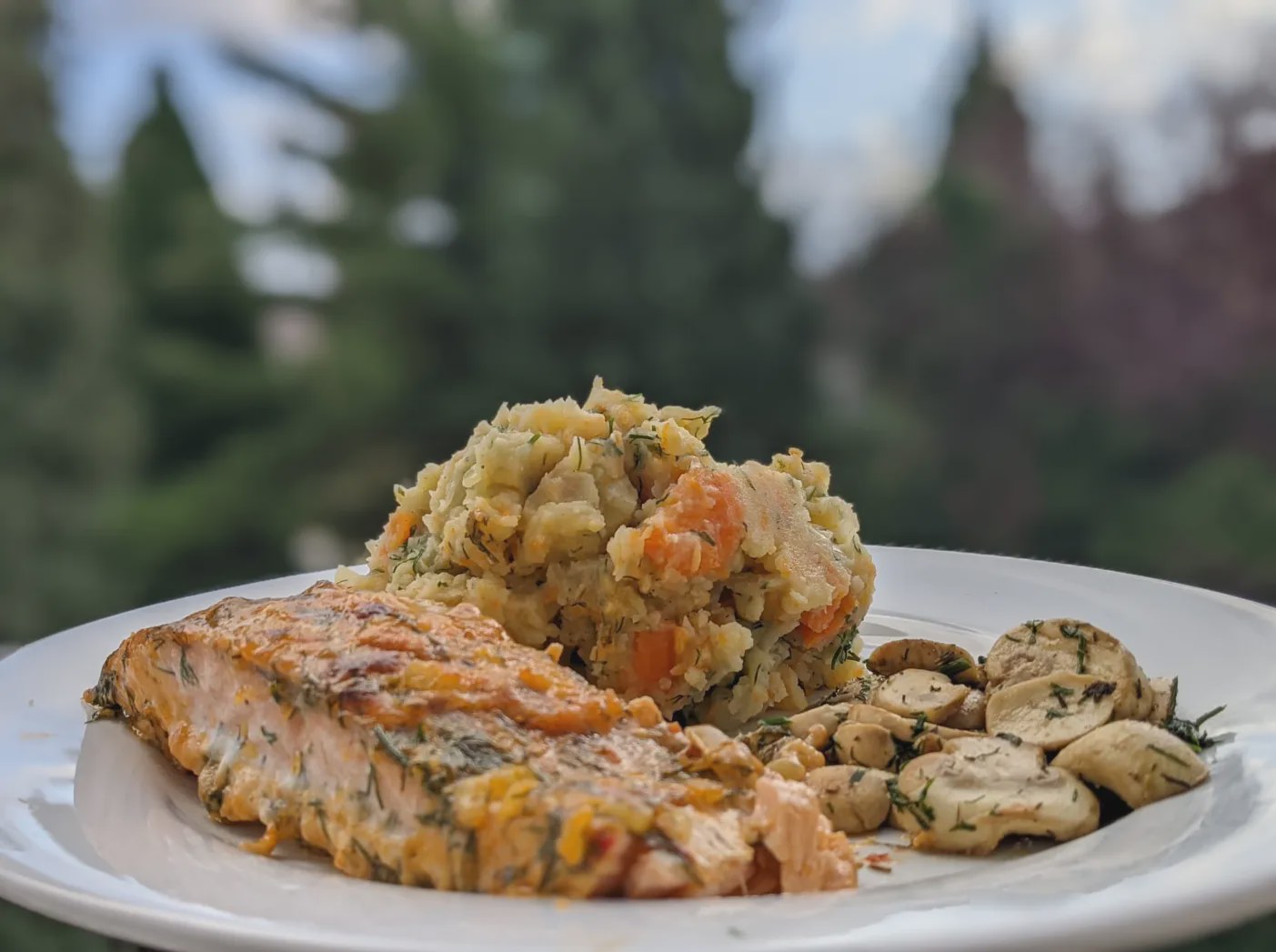 Lachs - Sahne Gratin